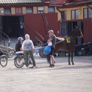 Bilder från Solvalla